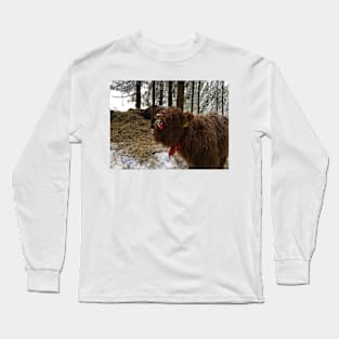 Scottish Highland Cattle Calf 1631 Long Sleeve T-Shirt